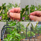 🔥Zomeraanbieding 50% KORTING🚿360° Gebogen Automatisch Tuinberegeningssysteem