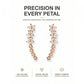 ⚡Kies 3 voor €12,99⚡Sterren Bloem Strass Ear Climber Oorbellen