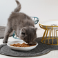 Verhoogde Keramische Kattenbak met IJzeren Standaard